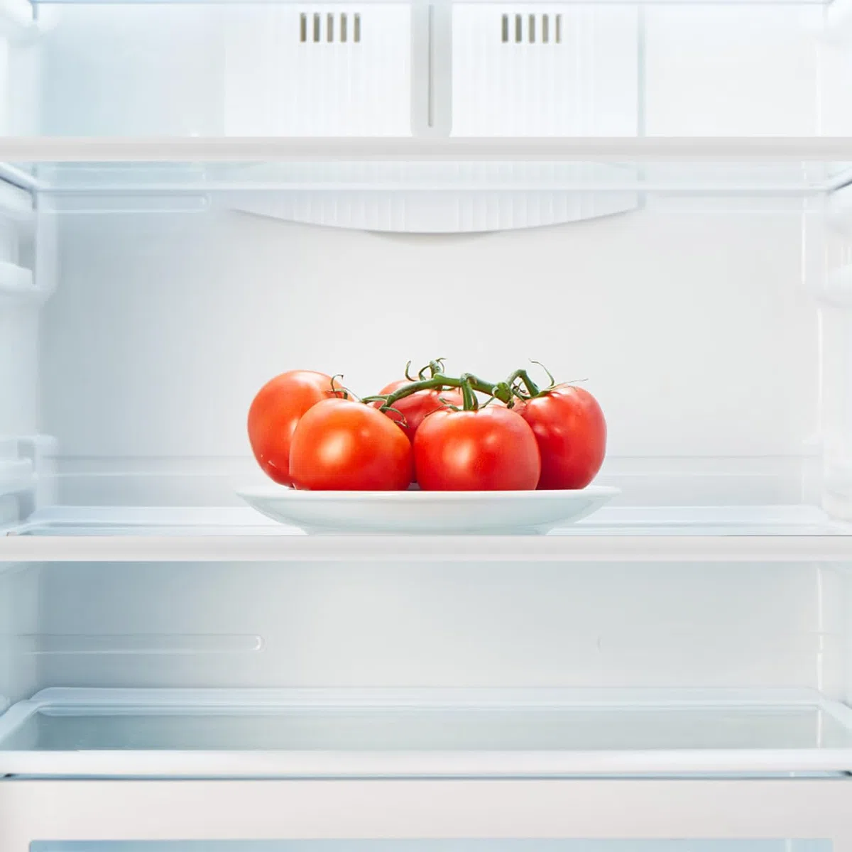 KOMBIUDA Estante de vidrio para refrigerador divisor de refrigerador de repuesto templado para estante de vidrio en el congelador estante de separación para refrigerador doméstico parte de estante