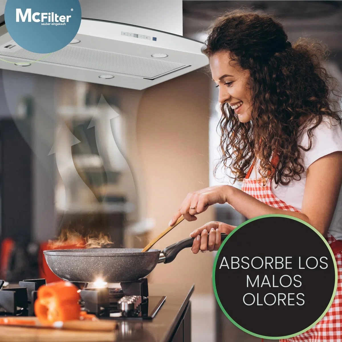 4x Filtro de carbón activado Ø 200 mm, EFF62, Juego de 4 para campanas extractoras adecuada para Franke 112.0016.755, AEG 9029793578, Bosch/Siemens 00748732, Miele 6532971